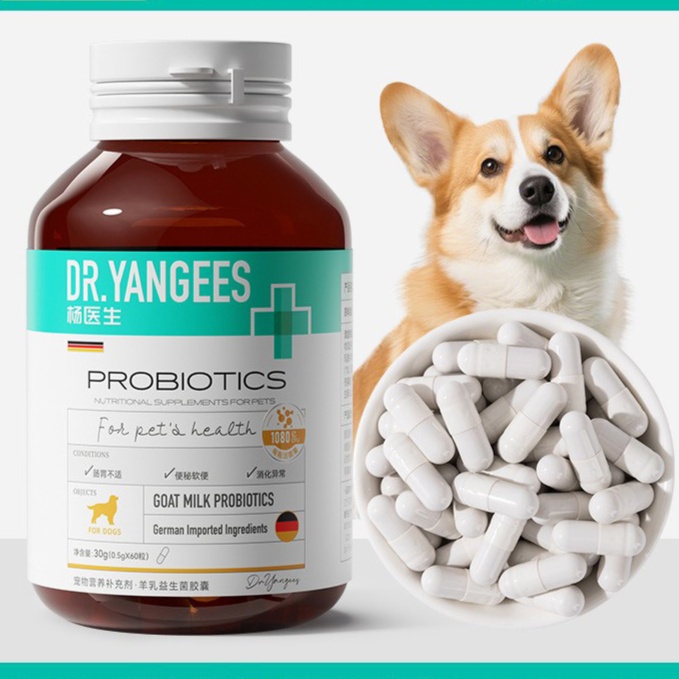 Krill Anchovy Oil Pet Vitamin Supplement