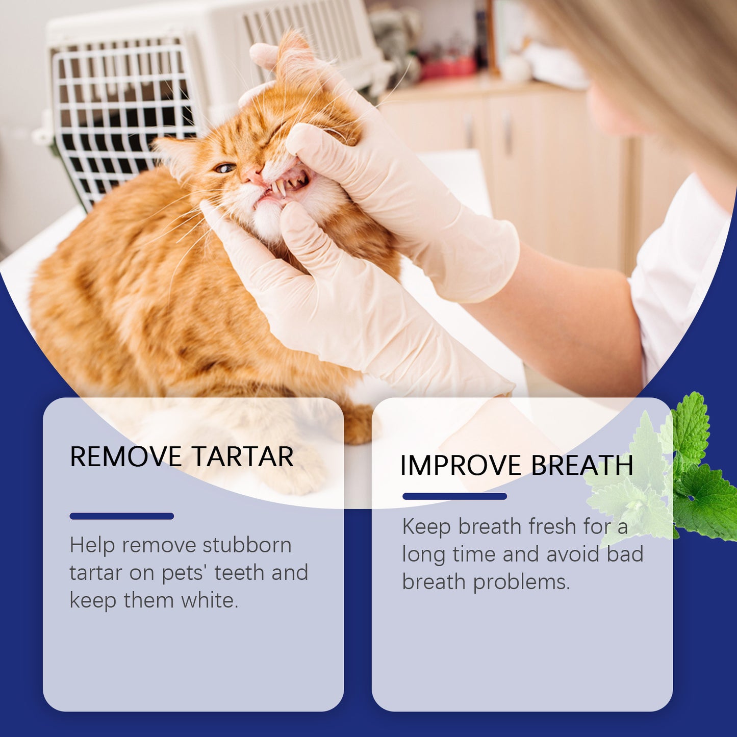 Pet dental cleaning powder